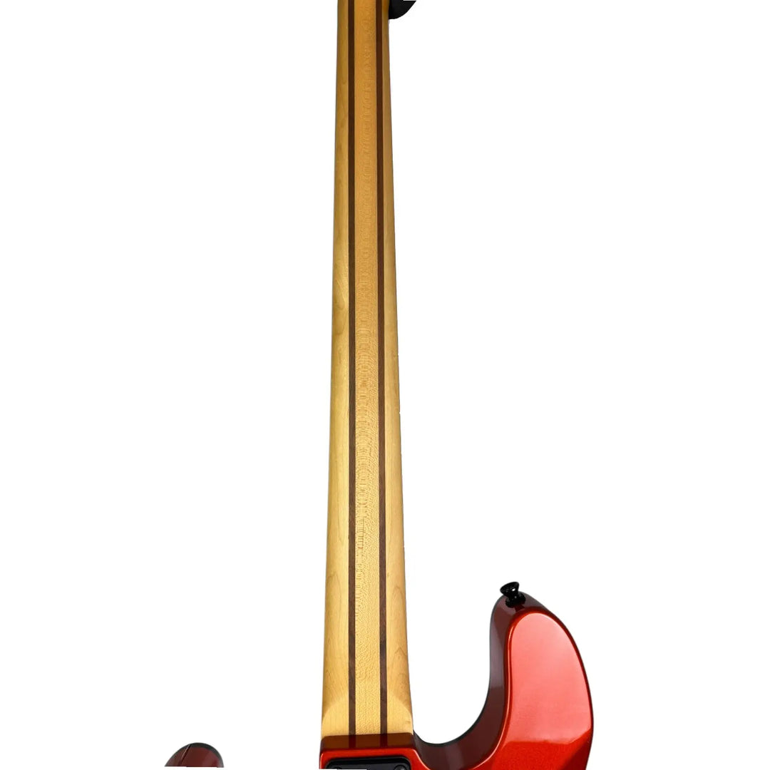 Schecter Bass Schecter