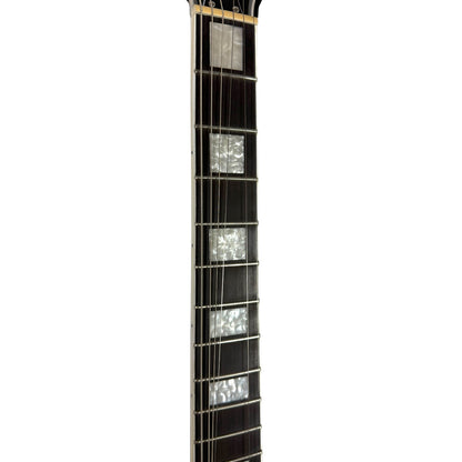 Epiphone Les Paul Custom Adam Jones Signature 2022 - Berserker