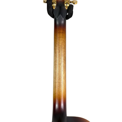 Cole Clark FL2EC-BLBL-SUN 2021 - Natural Sunburst