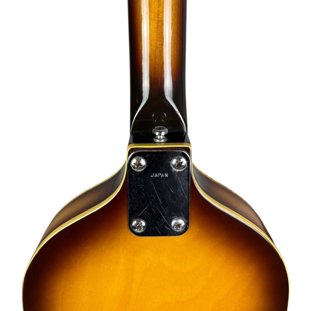 Greco Violin Bass Greco