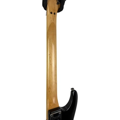 Ibanez Kommission Pat´s Guitars