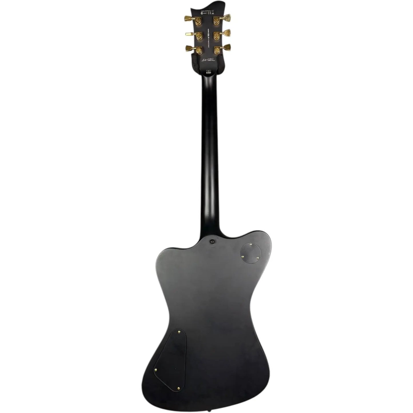 LTD Sparrow Hawk ESP LTD