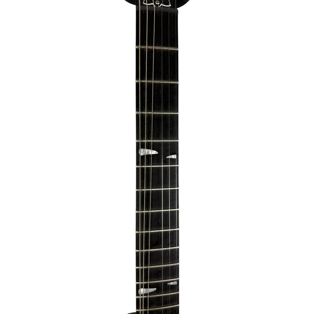 Gibson Les Paul 2009 - Dusk Tiger - Pat´s Guitars