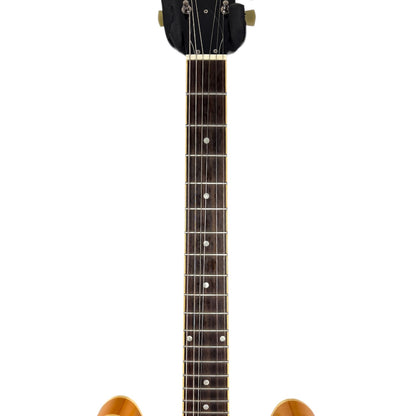 Burny RSA-65 2011 - Sunburst