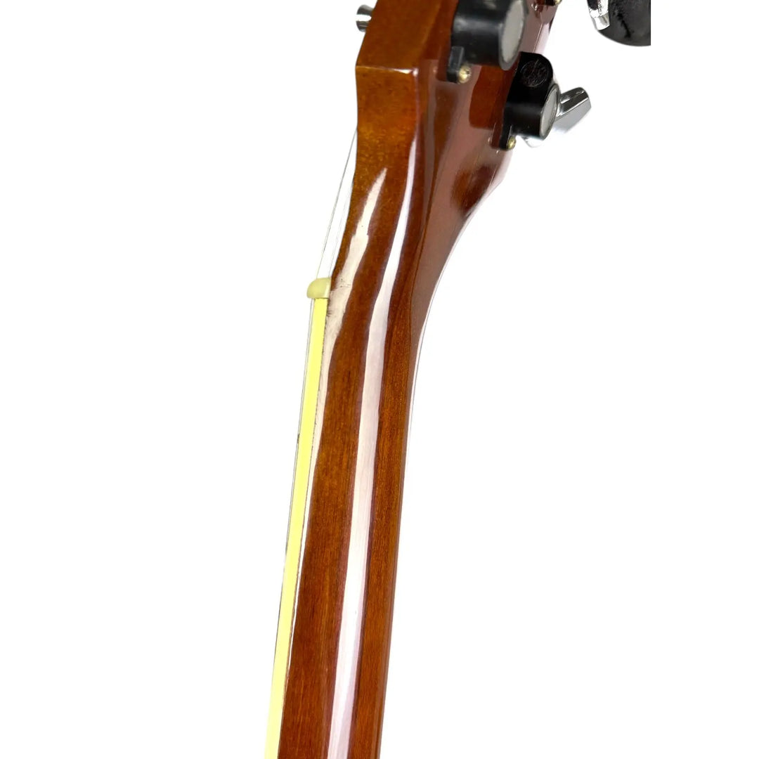 Aria Pro II PE-140 1976 - Mahogany Aria