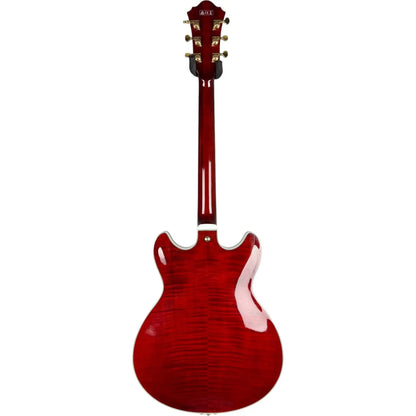 Ibanez Ibanez