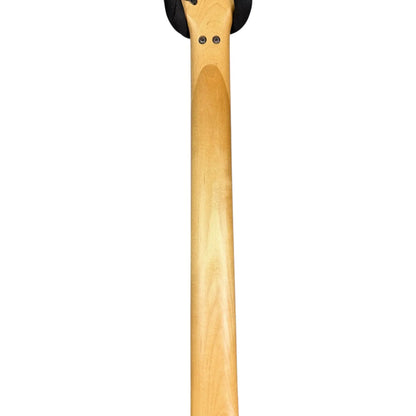 Ibanez PGM Series Ibanez