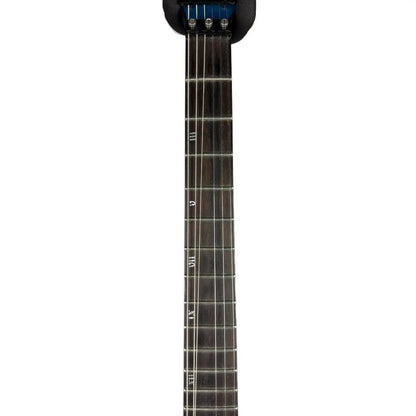 Schecter Diamond Series Schecter