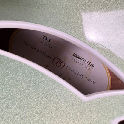 Taylor T5-S 2006 - Vert sauge