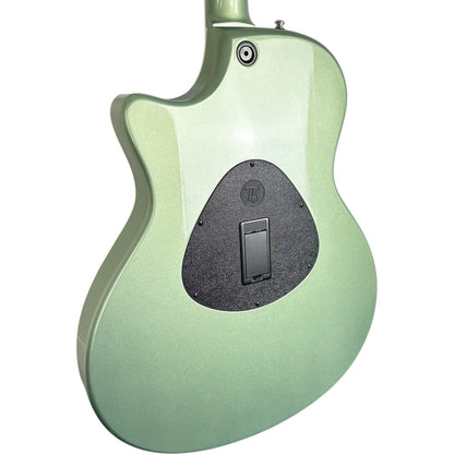 Taylor T5-S 2006 - Vert sauge