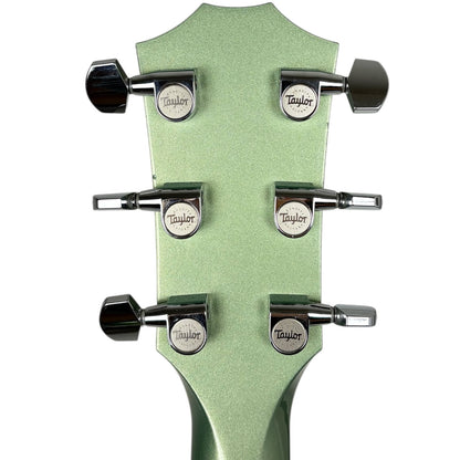 Taylor T5-S 2006 - Vert sauge
