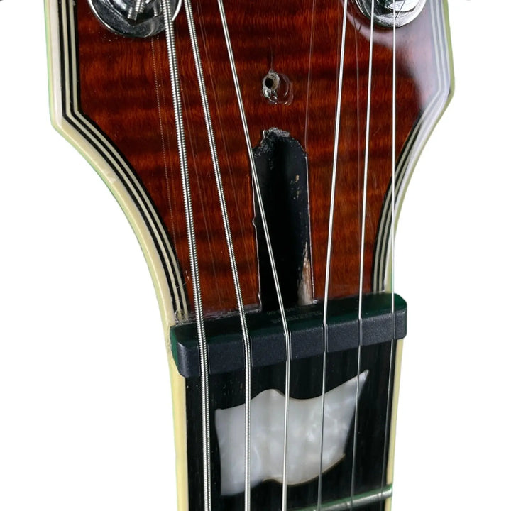 ESP LTD EC-1000 2019 - Tiger Eye ESP LTD