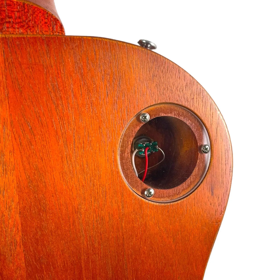 Gibson Les Paul BFG Gary Moore Signature 2010 Gibson